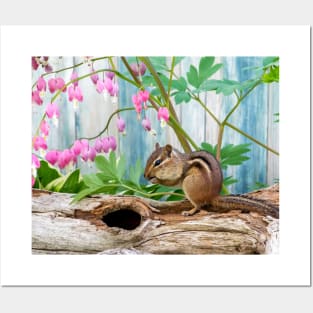 Active chipmunk in a spring time garden Posters and Art